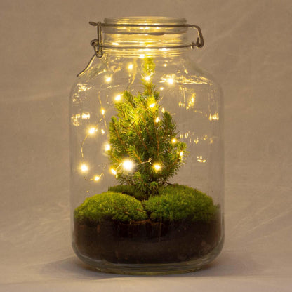 DIY terrarium - Kerstmis - Hoogte ↕28cm