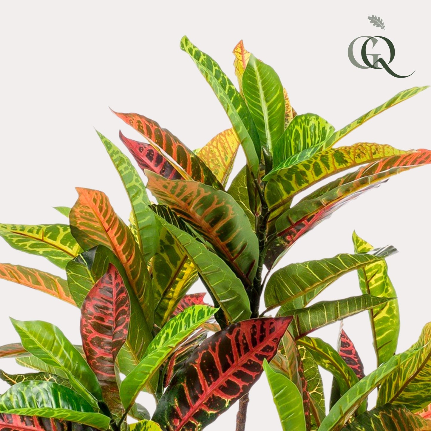 Kunstplant - Croton Codiaeum - Wonderstruik - Hoogte ↕100cm