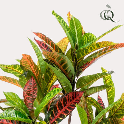 Kunstplant - Croton Codiaeum - Wonderstruik - Hoogte ↕100cm